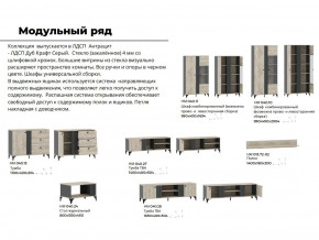 Гостиная Отис Дуб Крафт Серый/Антрацит в Перми - perm.magazinmebel.ru | фото - изображение 5