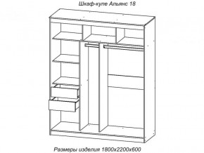 Шкаф-купе Альянс 18 комплект зеркал №4 в Перми - perm.magazinmebel.ru | фото - изображение 2